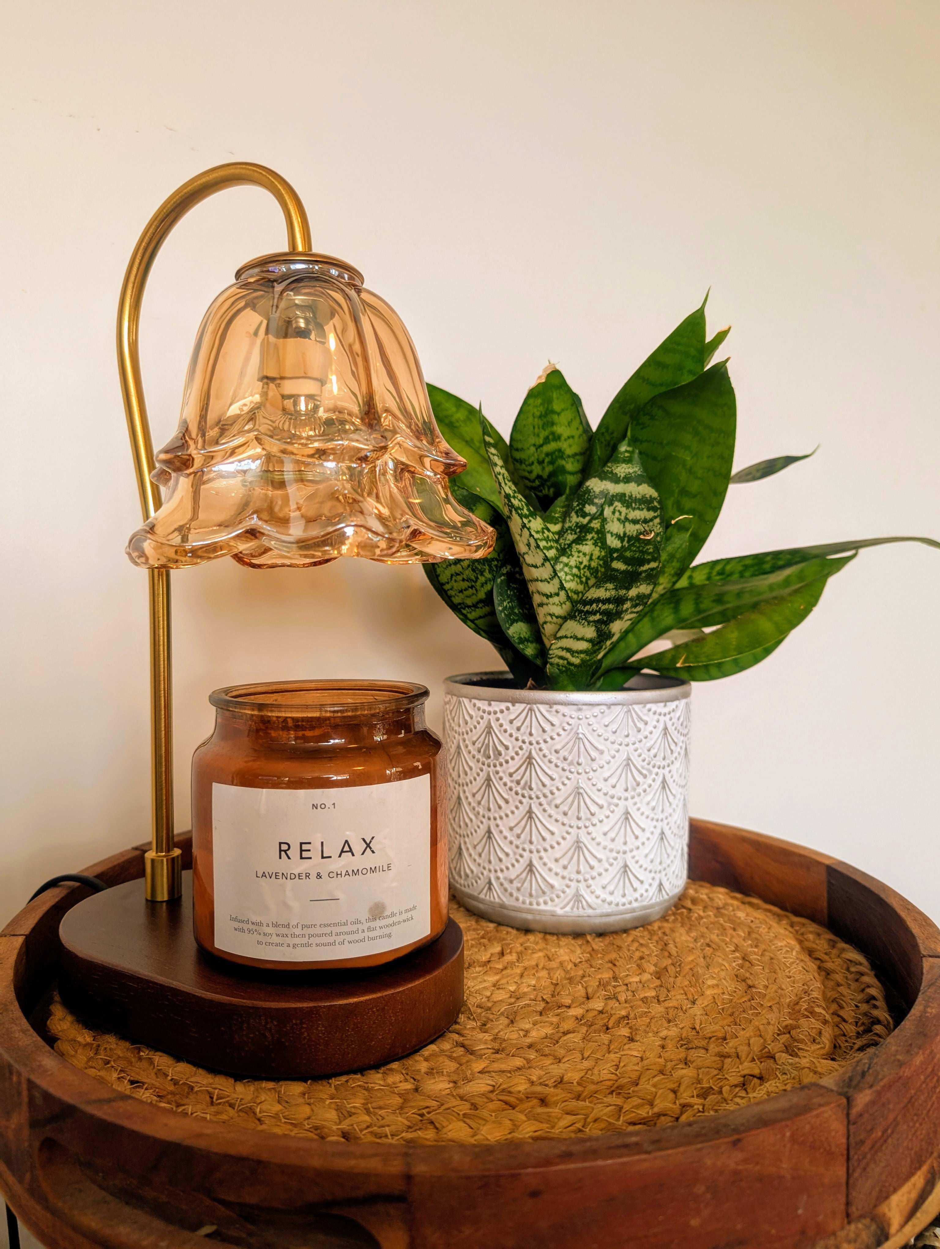 Auren Bloom Candle Warmer in warm daylight next to a plant