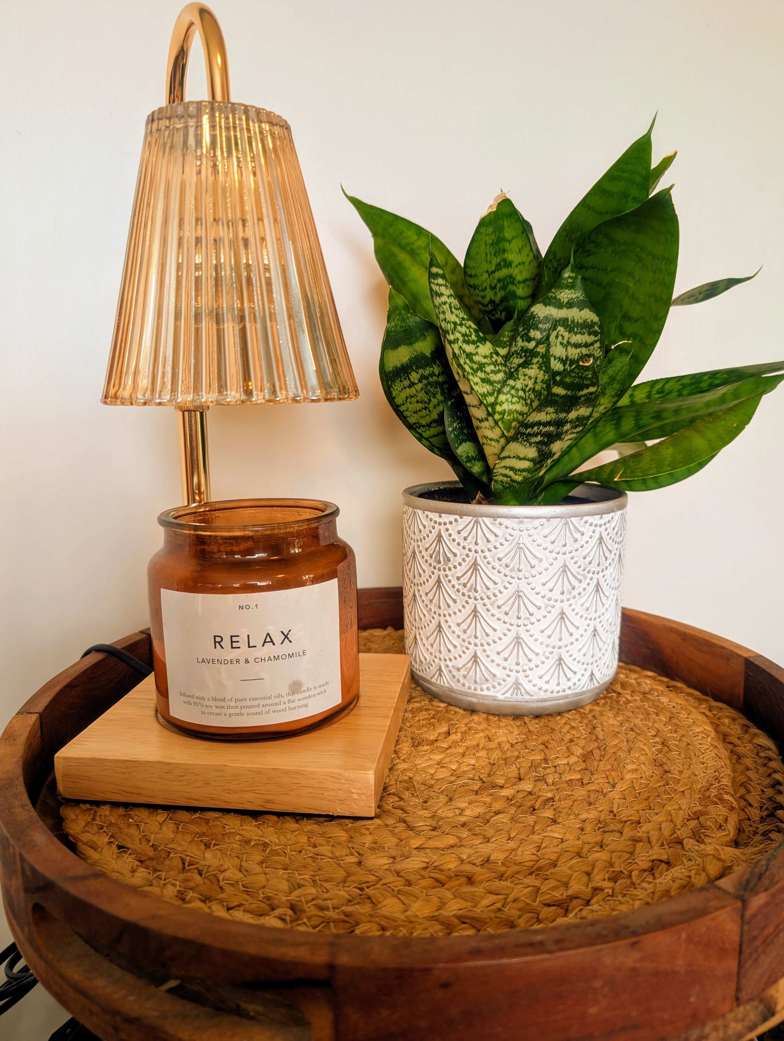 Auren Elegance Candle Warmer in warm daylight next to a plant