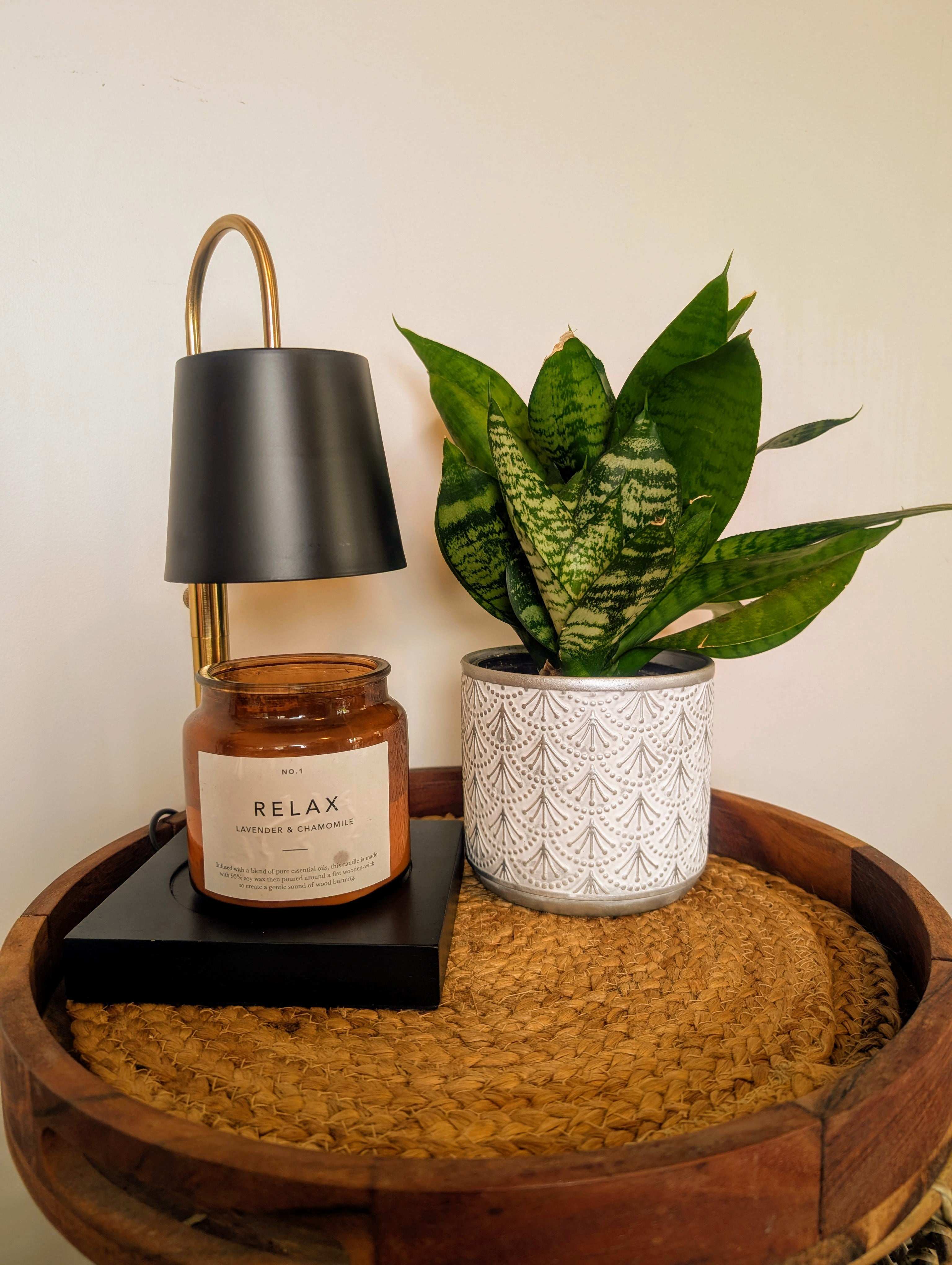 Auren Modern Candle Warmer in warm daylight next to a plant